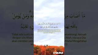 Download lagu Semuanya terjadi atas izin Allah #alquran #reminder mp3