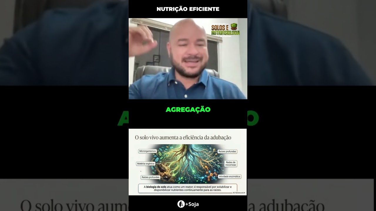 Nutrição eficiente #maissoja #soja