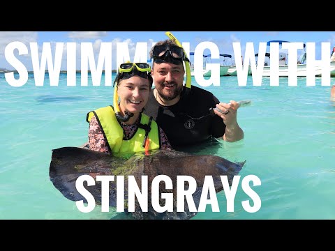 Swimming with Stingrays | Antigua
