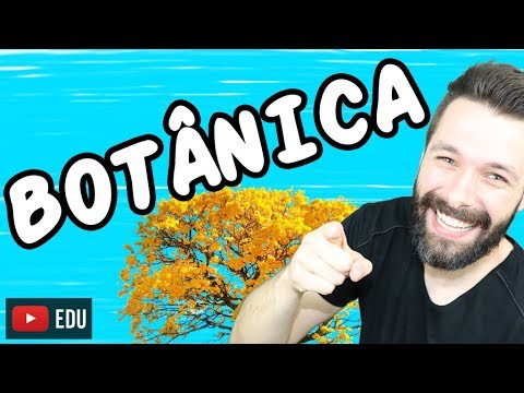 REINO VEGETAL - INTRODUÇÃO À BOTÂNICA | Briófitas - Pteridófitas - Gimnospermas e Angiospermas