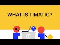 What is IATA Timatic?