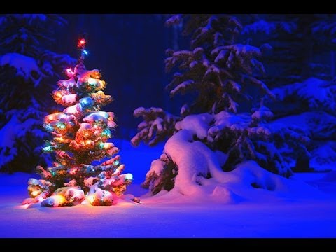 Woody - Weihnachtskonzert 2013