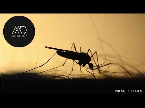 PREMIERE: Vini Pistori - Mosquito (Original) [Nereau Records]