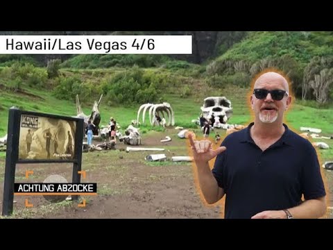 Peter und der "gierige Geldgeier" auf Jurassic Island - Tour-Reinfall | Achtung Abzocke | Kabel Eins