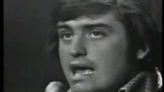 The Turtles-It ain t me babe