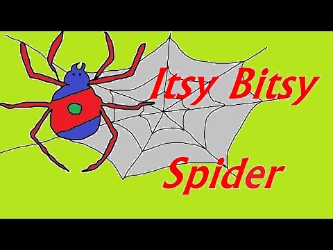 Itsy Bitsy Spider - Popular nursery rhyme for children