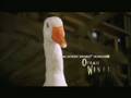 Charlotte S Web Trailer