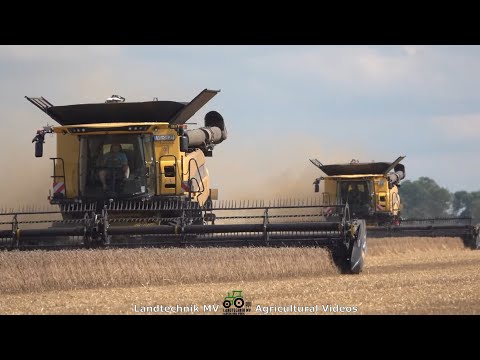 New Holland - MAN / Getreideernte - Grain Harvest  2021