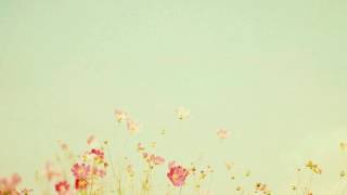 Angus &amp; Julia Stone - Bella