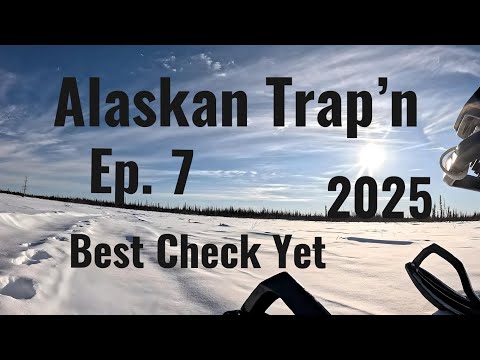 Alaskan Trap'n 2025 (Ep 7)