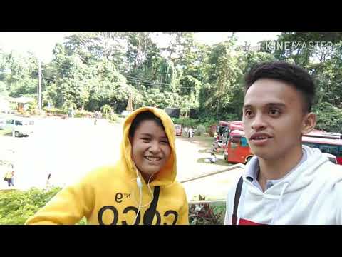 download lagu mp3 mp4 Mield, download lagu Mield gratis, unduh video klip Mield