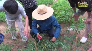 9강실습 텃밭 돌보기