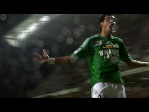 Ligue 1 - Week 37 : Goals compilation / 2012-13