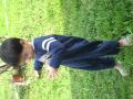 Green Green Grass
