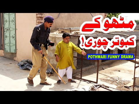 Pothwari Funny Drama - Mithu Kay Kabotar Chori Ho Gay - Shahzada Ghaffar Funny Clips - Pothwar Gold