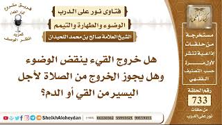 9024 - هل خروج القيء ينقض الوضوء؟ - نور على الدرب image