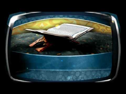  علل الدارقطني 05 03 2016 حديث 297 جابر بن عبد الله عن علي أنه دخل على عمر وهو مسجى عليه فقال ما أحب 