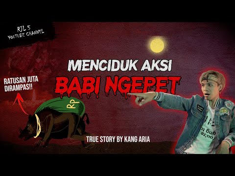 KISAH NYATA MENGENAI BABI NGEPET YANG DITANGKAP #OMMAMAT