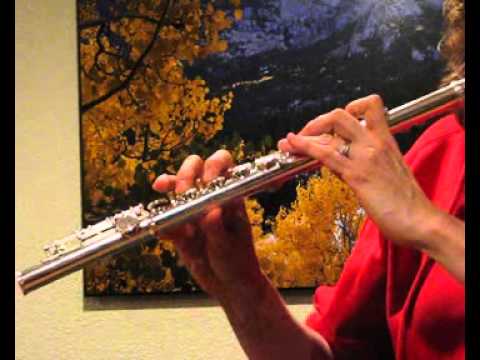 Jupiter 511S Flute (used) For Sale - Demo Low to High