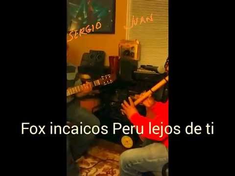 Fox Incaicos
