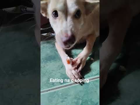 eating time c soping