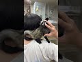 ジャコウネコ パームシベット（CBベビー）のYouTubeサムネイル画像