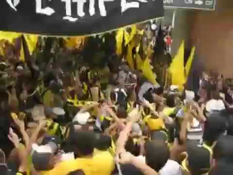 "Previa Aurinegra //Se lo dedicamos al rojo y a toda la policía ðŸŽ·ðŸ¥// Avalancha Sur 1997" Barra: Avalancha Sur • Club: Deportivo Táchira