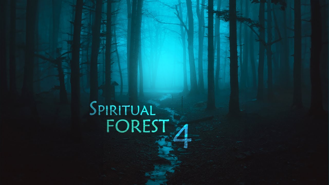 Spiritual Forest 4: Atmospheric Nature Journey | Immersive Ambient