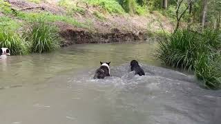 Misty's Watering Hole (11th December 2021)