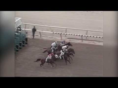 Andy and the Mig - 1985 Wood Memorial