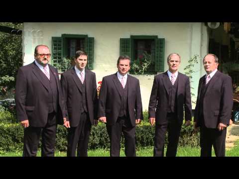 ZAVRŠKI MUZIKANTI IN TRIO ZLATKA MUNDE - STARI MUZIKANT