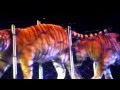 135edition Of Ringling Bros Circus