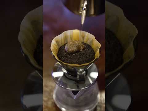 ¡Se realizará la Copa Cerveceras de Japón CAFEC! #shorts