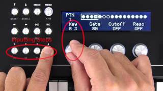 Video thumbnail for A-01 Quick Start 06 "Step Sequencer Mode" by RolandChannel