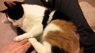 Tiffany loving her cuddles