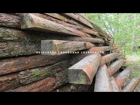 Hoogtepunten Loenermark