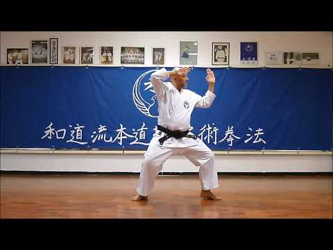 Pinan Yondan - Wado Ryu 4th Pinan Kata - Wado Ryu Hon Dojo - Karate video