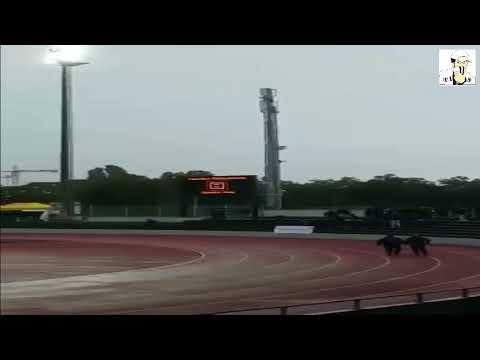 Young Boys Ultras attacking Old Boys Basel