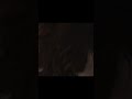 Fucking Hard Tamanna Bhatia Hot Sex Video