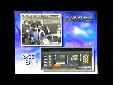 1999 Meadowlands BEACH CRYSTAL Richard Silverman Mistletoe Shalee Elimination