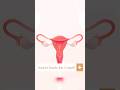 How To Locate The G Spot Female Cosmetic Gynaecologist In Hyderabad Eternelle Aesthetics