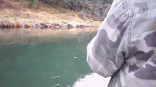 preview picture of video 'Rogue River Winter Steelhead'