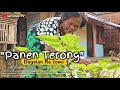 Panen Terong Dagelan Ra Jowo Film Pendek Komedi Eps 45