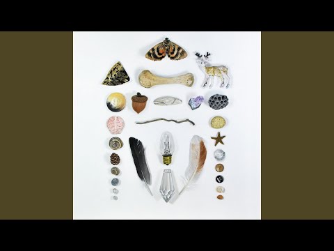 download lagu mp3 mp4 Adam The Amethysts The Country, download mp3 Adam The Amethysts The Country free download, download mp3 Adam The Amethysts The Country