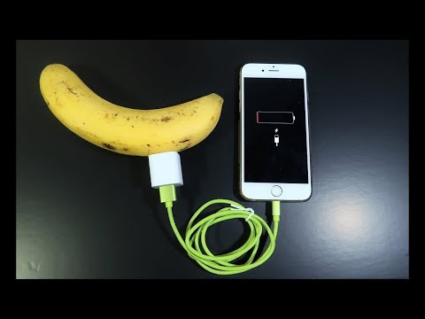 Chromosome 2- Not Much Mileage