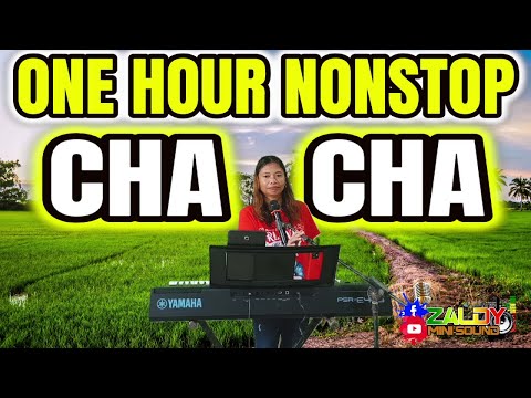 ONE HOUR NONSTOP CHA - CHA 2025 - LET'S DANCE! ARLIN CASTILLO FT. ZALDY MINI SOUND