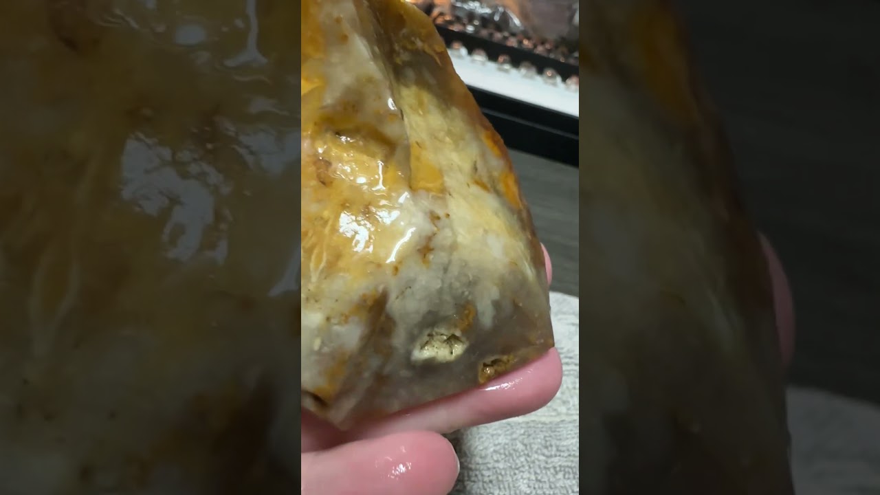 Savannah River Agate #7