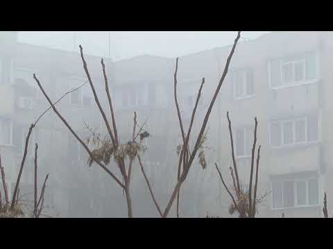 Ceata densa in Bucuresti, 13 noiembrie 2021