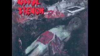 Offal Stench - Fumes Of The Offal Pit