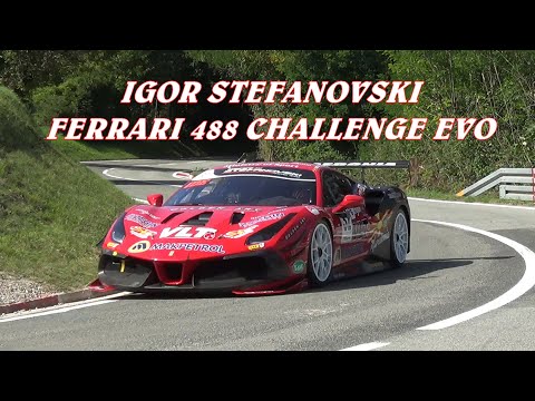 44°HILLCLIMB BUZETSKI DANI 2025 | IGOR STEFANOVSKI | FERRARI 488 CHALLENGE EVO | BY BELLUNOVIDEO